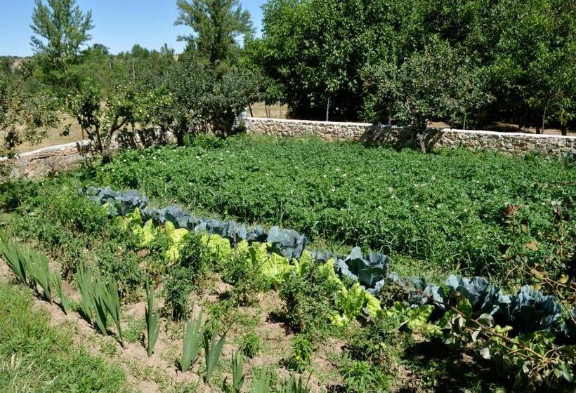 فندق ريفى Langa