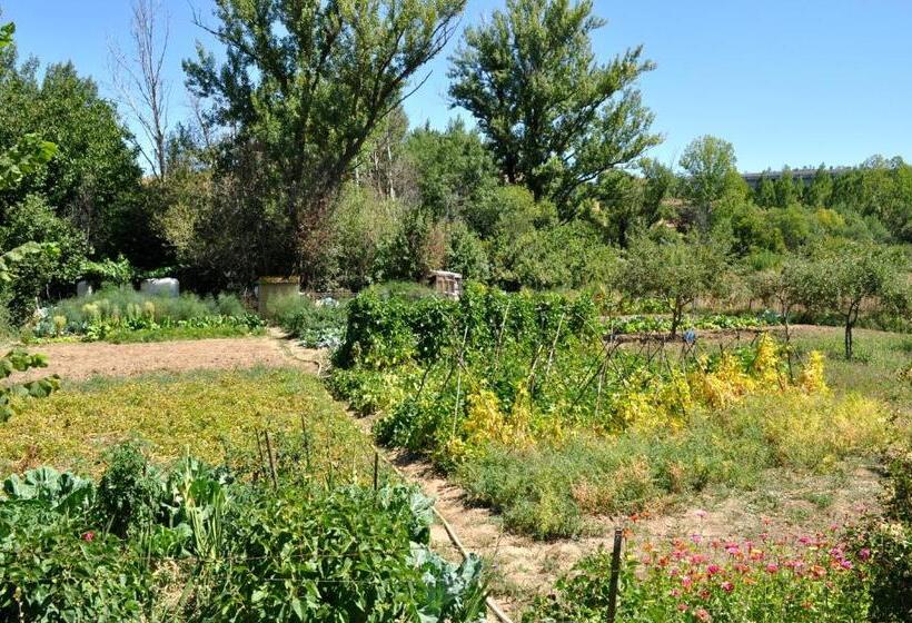 فندق ريفى Langa