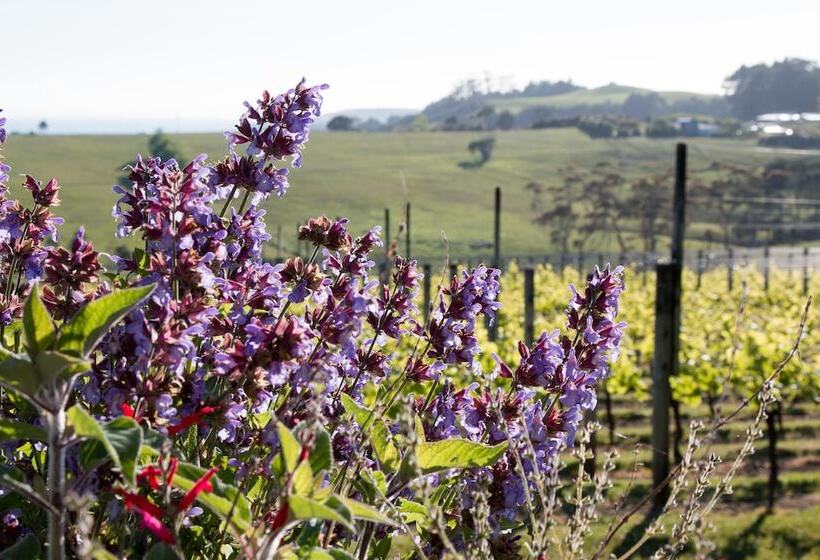 Отель Takatu Lodge And Vineyard