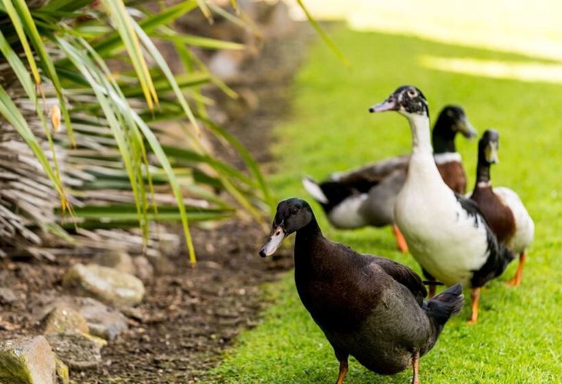 בית מלון כפרי Tall Timbers Tasmania