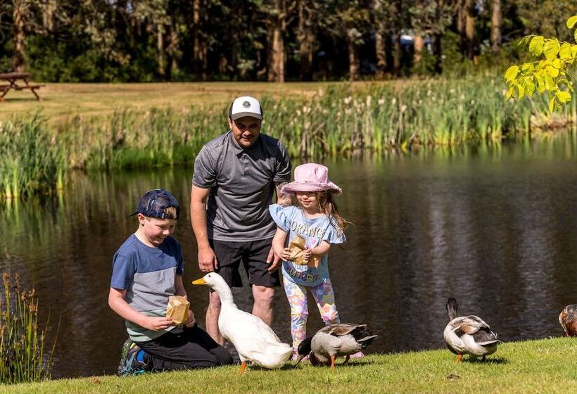 هتل Tall Timbers Tasmania