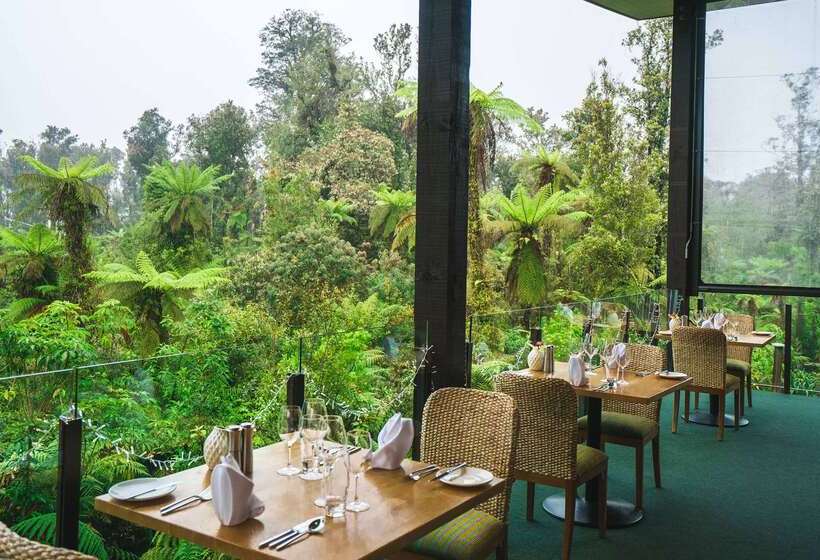 酒店 Te Waonui Forest Retreat