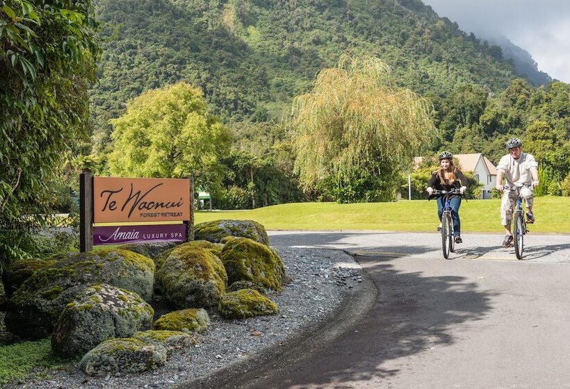 酒店 Te Waonui Forest Retreat