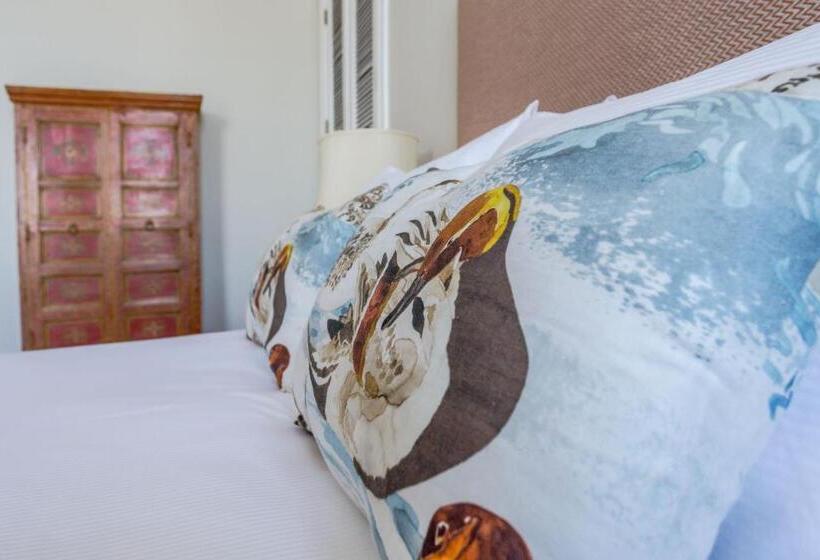 בית מלון כפרי The Martinborough