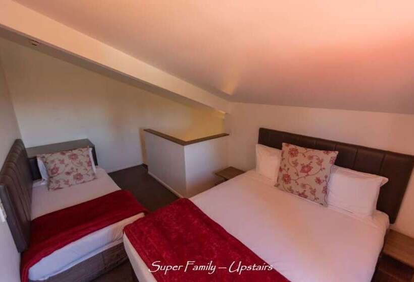 The Park Hotel Ruapehu