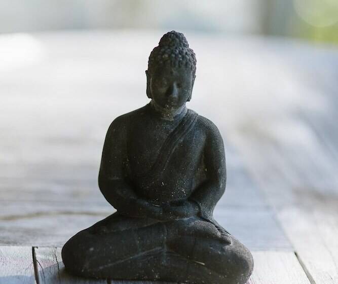 هتل The Sanctuary @ Bay Of Islands