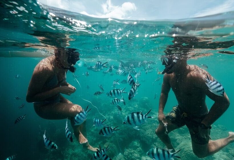 Intercontinental Fiji Golf Resort & Spa, An Ihg