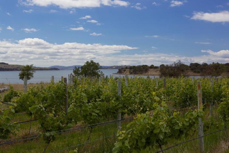 Riversdale Estate Cottages