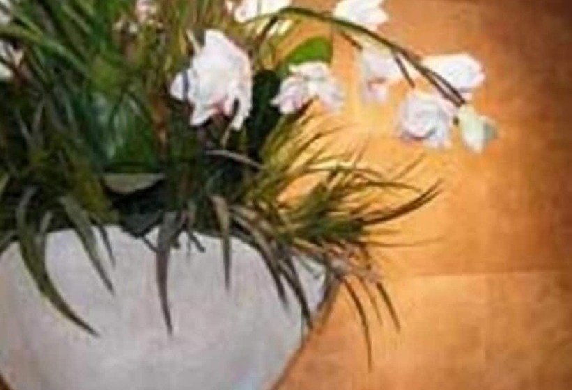 Terra Vive Suites & Apartments