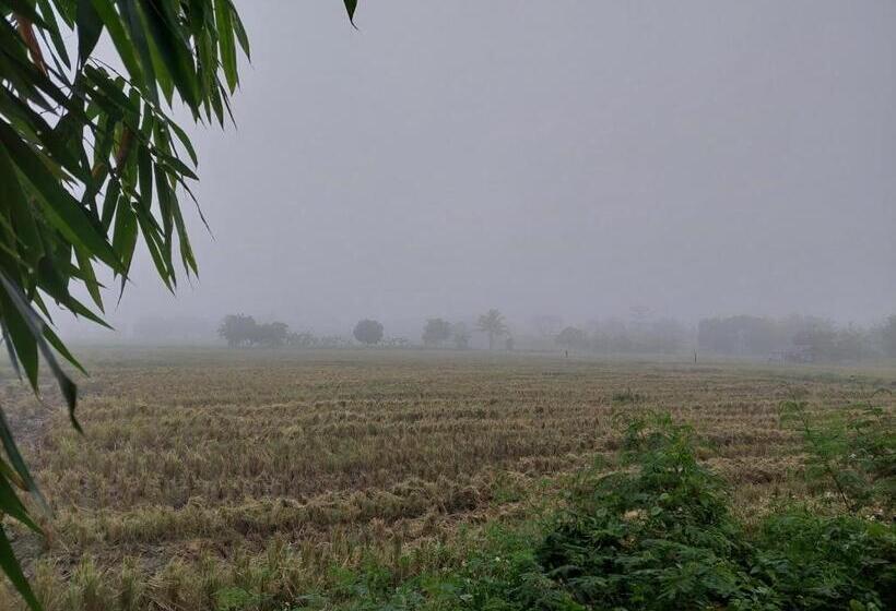 ホテル ต้งโฮมหละปูน