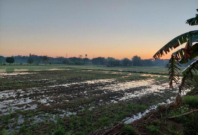 ホテル ต้งโฮมหละปูน