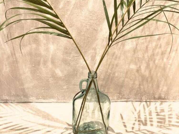 Отель Apartments & Suites Madre Holbox Selfcheck In