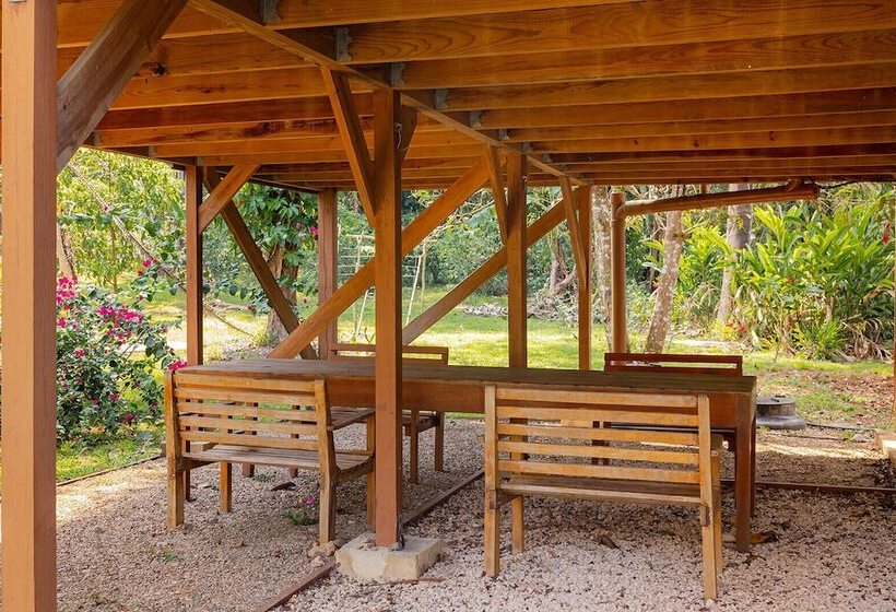 فندق Jaguar Creek