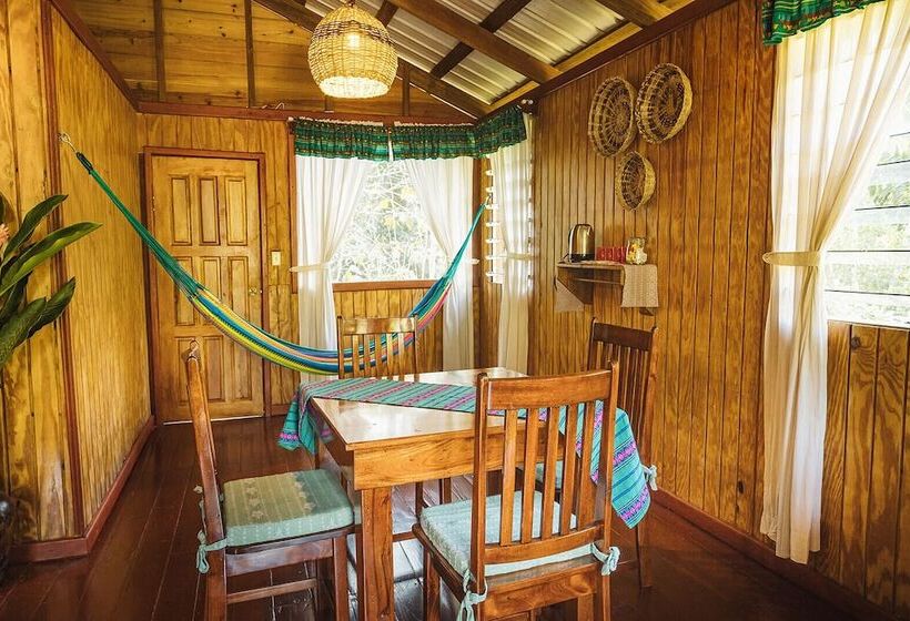 فندق Jaguar Creek