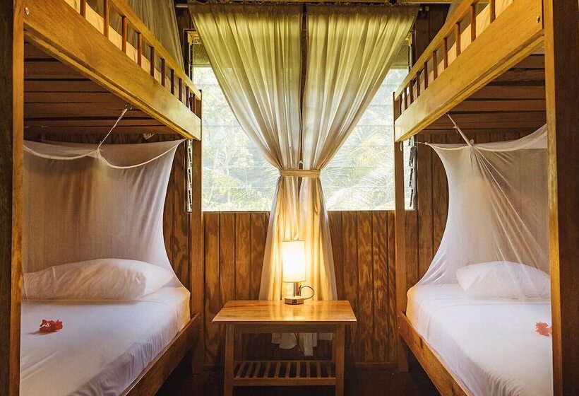 فندق Jaguar Creek