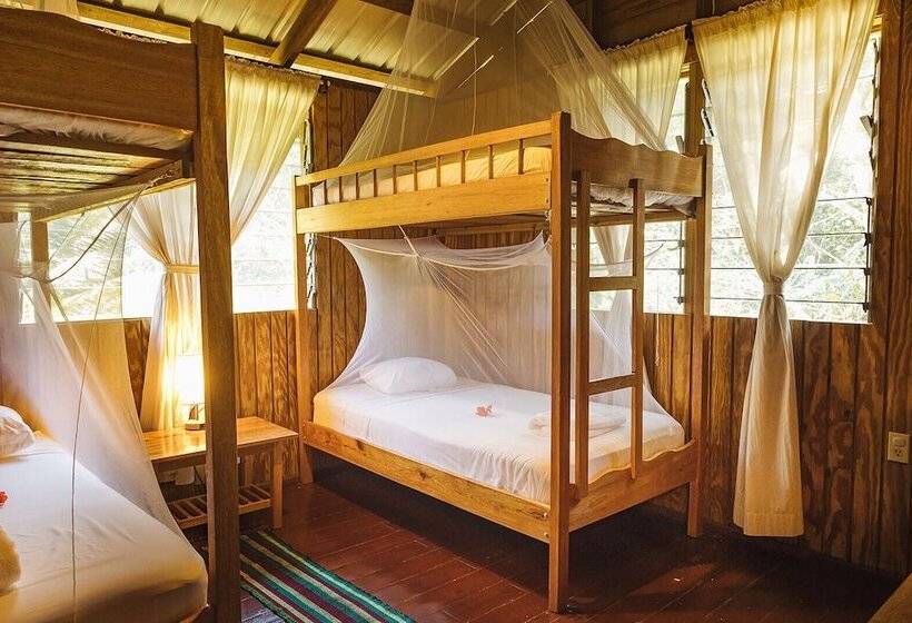 فندق Jaguar Creek