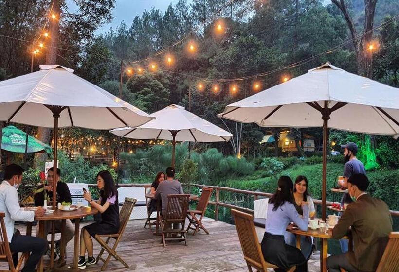 בית מלון כפרי Safari Resort