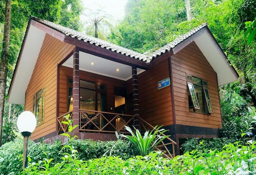 בית מלון כפרי Safari Resort