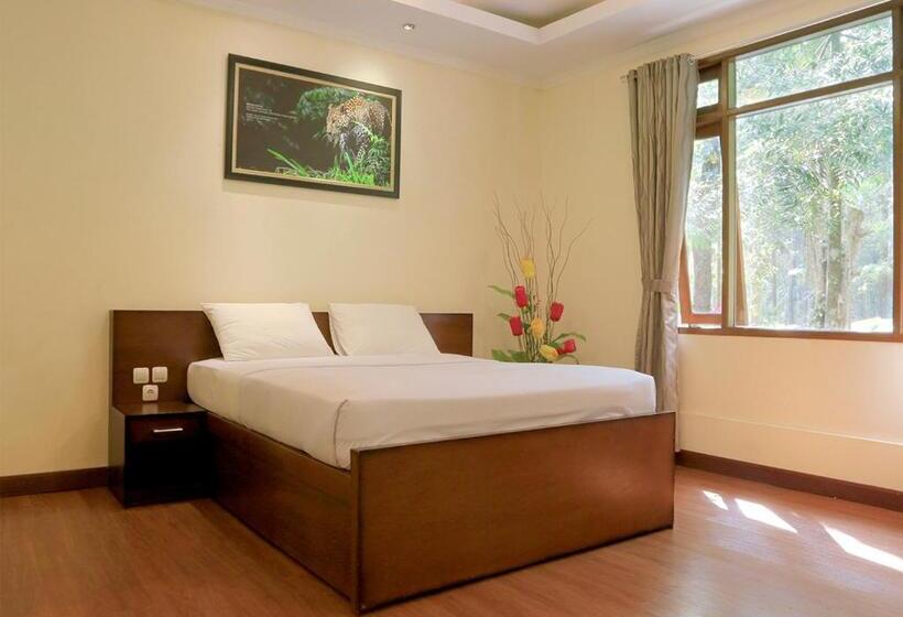 בית מלון כפרי Safari Resort