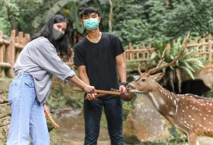 בית מלון כפרי Safari Resort