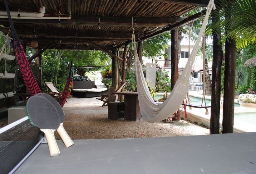 Отель Lobo Inn Hostel