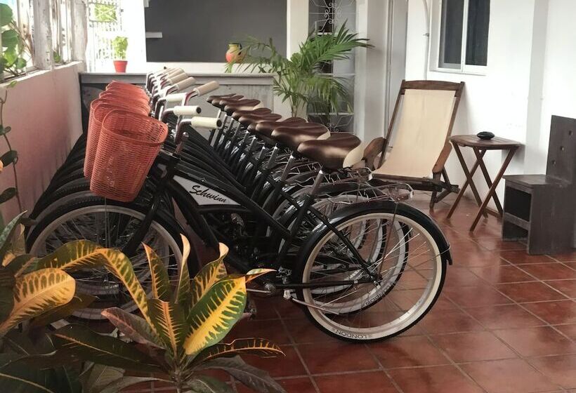 Отель Lobo Inn Hostel