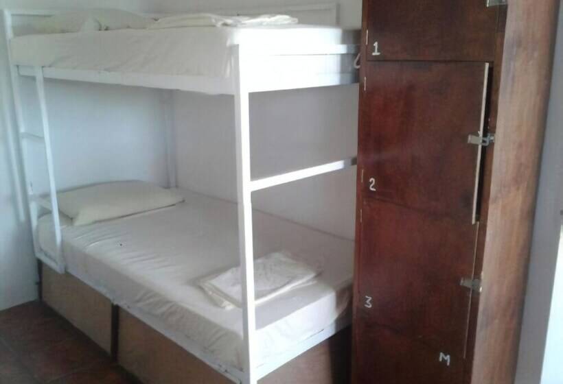 Отель Lobo Inn Hostel