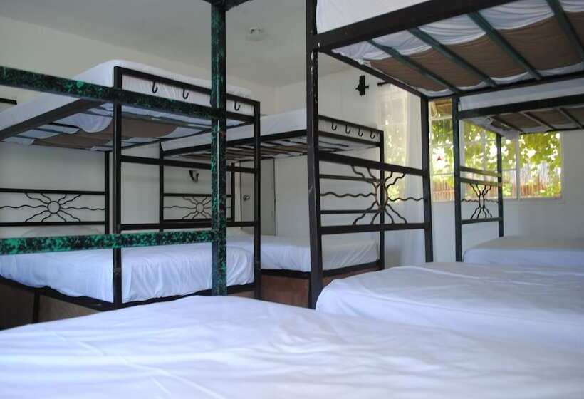 Отель Lobo Inn Hostel