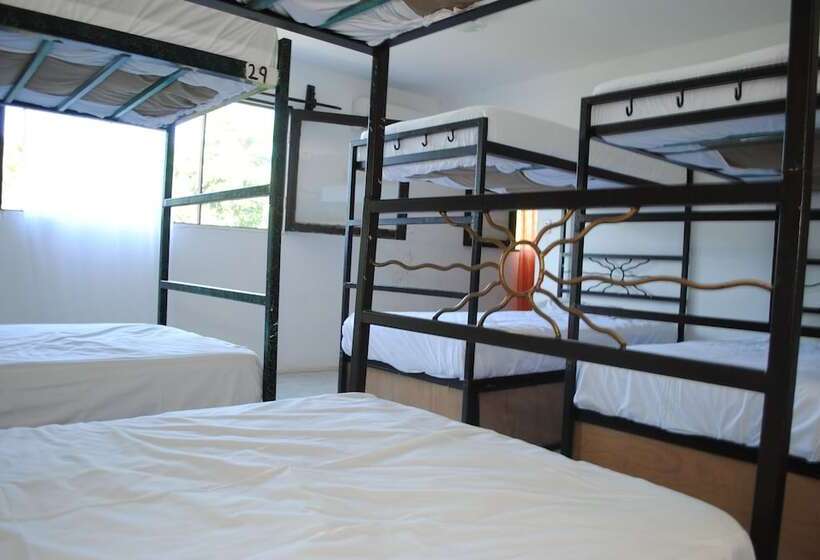 Отель Lobo Inn Hostel