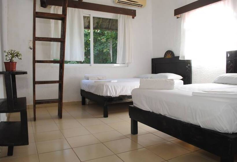 Отель Lobo Inn Hostel