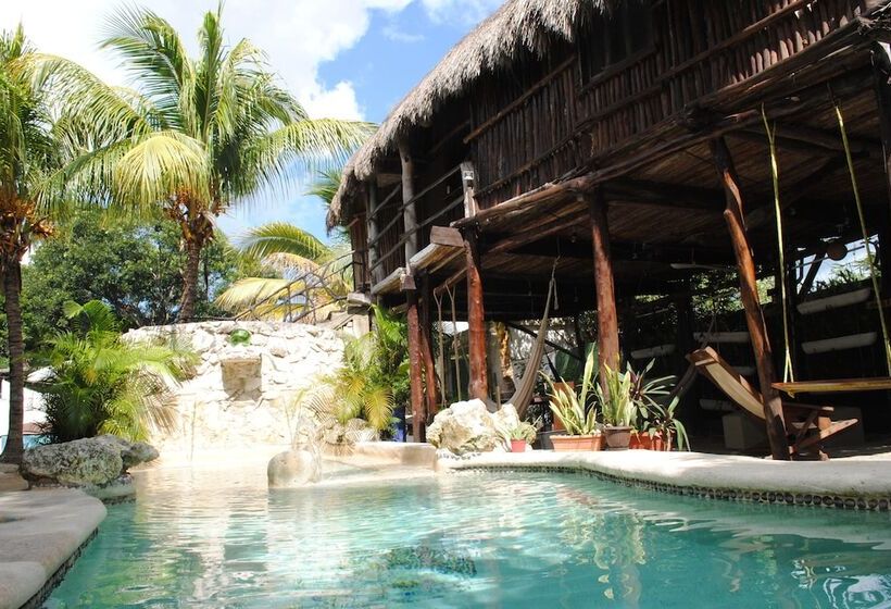 Отель Lobo Inn Hostel