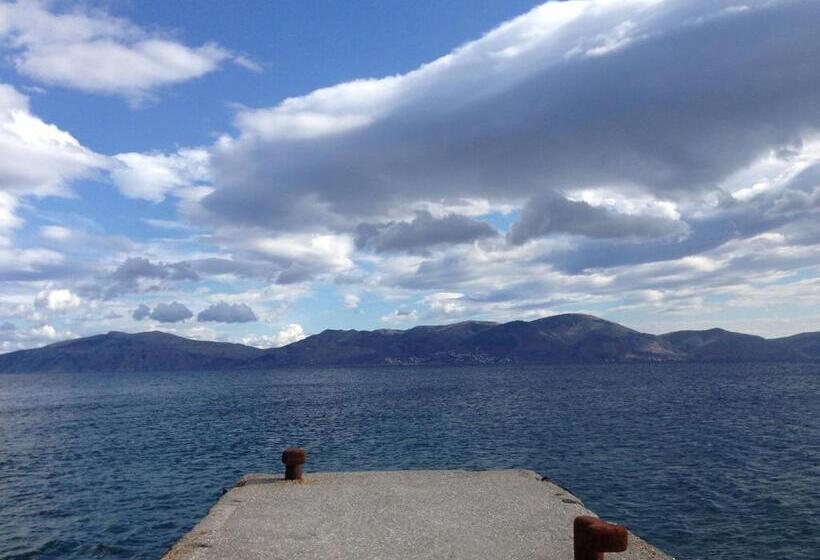 膳宿费 Gaia Hydras