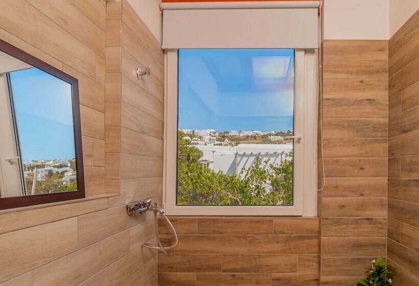 Dimelal Mikonos Downtown Apartments