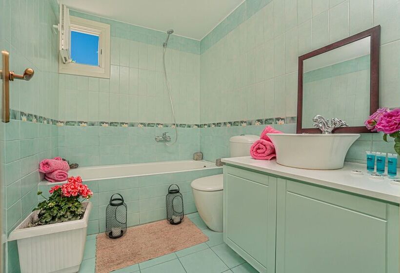 Dimelal Mikonos Downtown Apartments