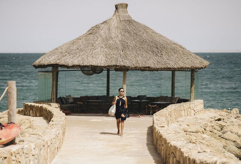 ホテル Bavaro Beach Dakhla