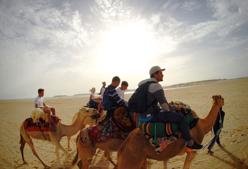 ホテル Bavaro Beach Dakhla