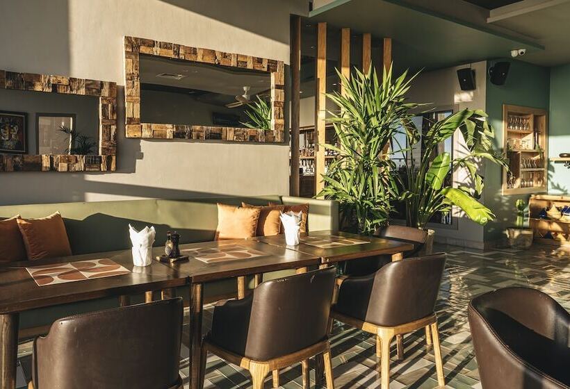 ホテル Bavaro Beach Dakhla