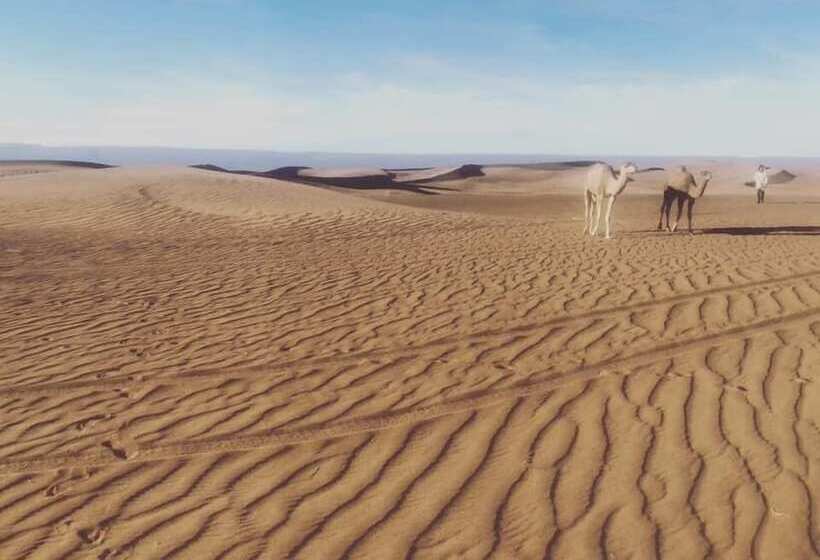 호텔 Bivouac Joudour Sahara