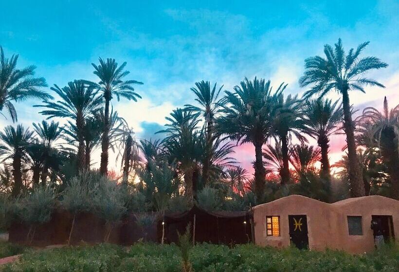 هتل Bivouac Lot Of Stars