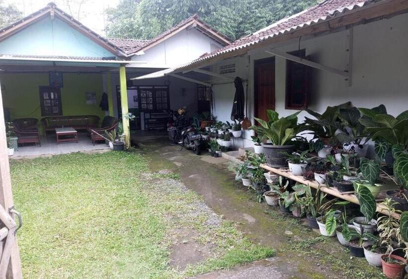 酒店 Homestay Wijaya Mulya