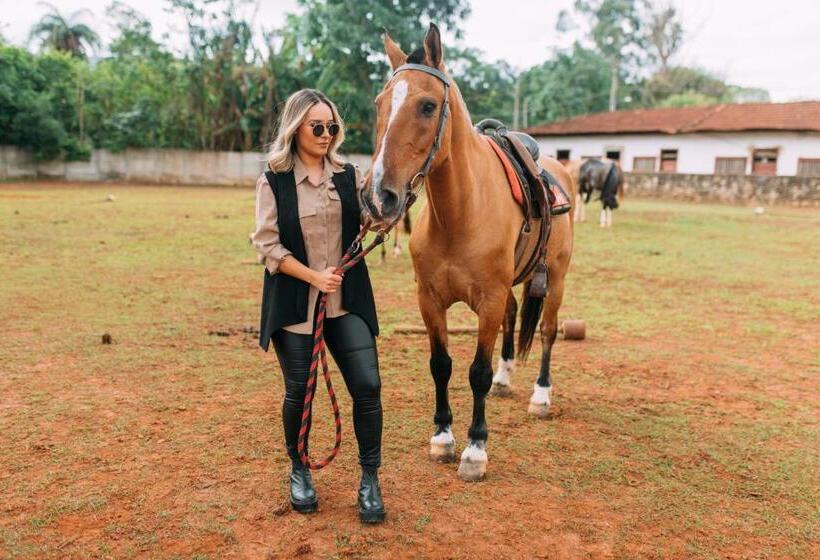 בית מלון כפרי Maria Barbosa Tiradentes Pousada E Spa
