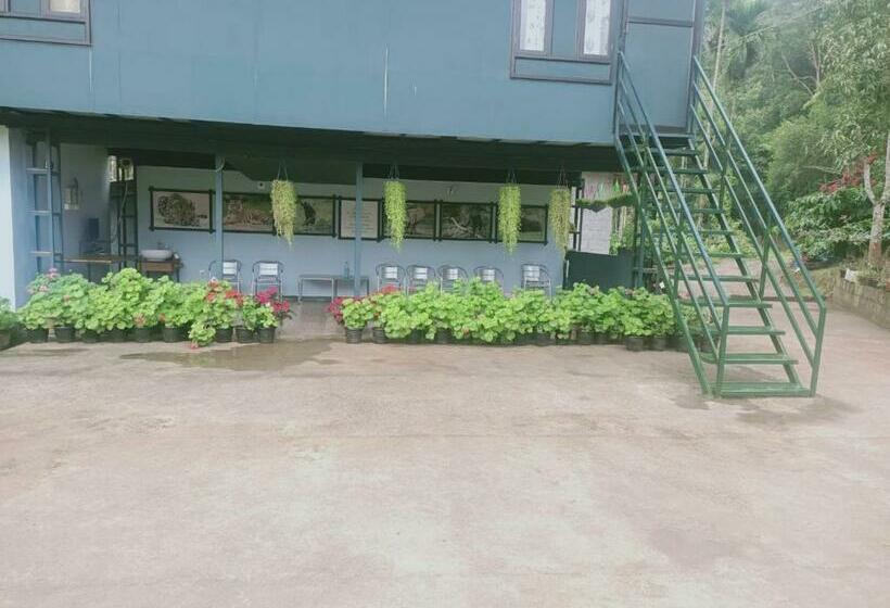 בית מלון כפרי Whispering Willows