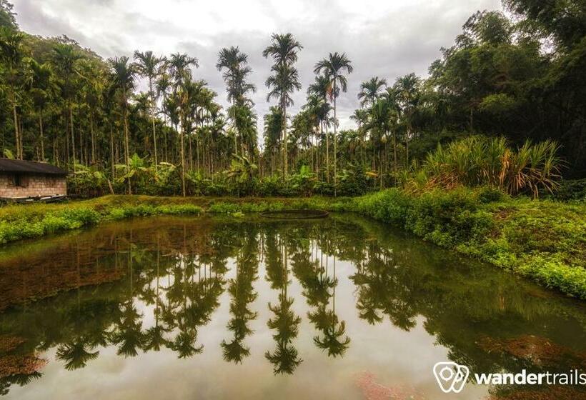 בית מלון כפרי Whispering Willows