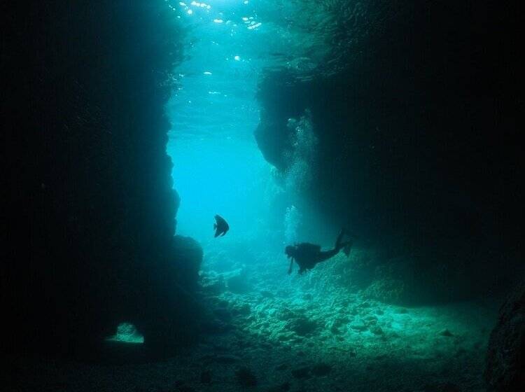 Marinx Classic Harborview Pension