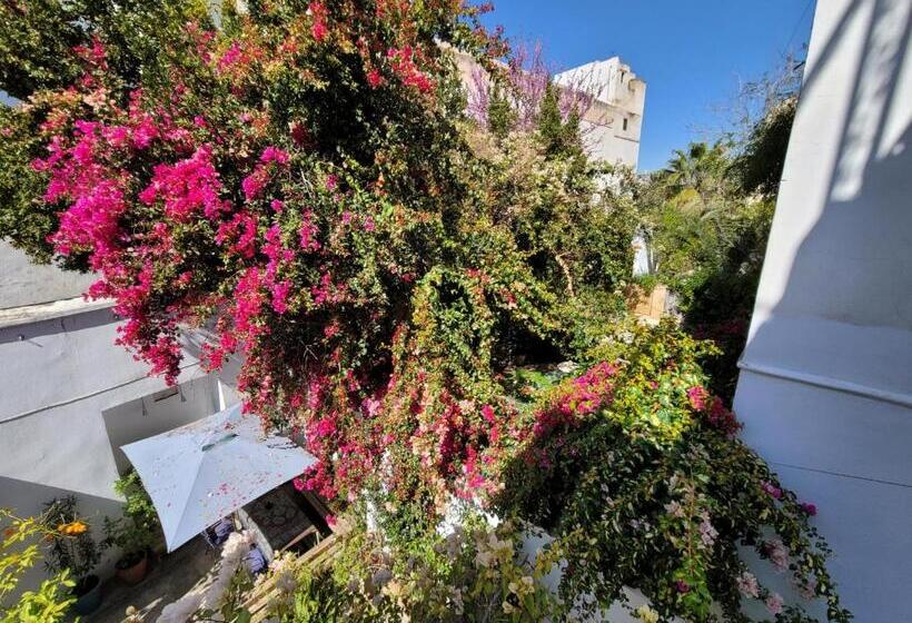 膳宿费 Chez Youssef