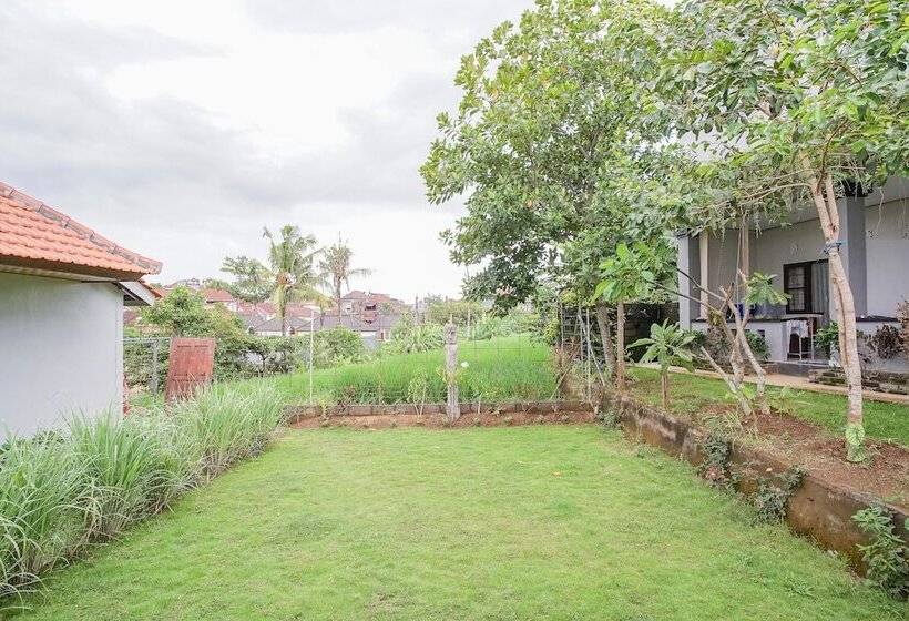 Pension Getsemani Guesthouse