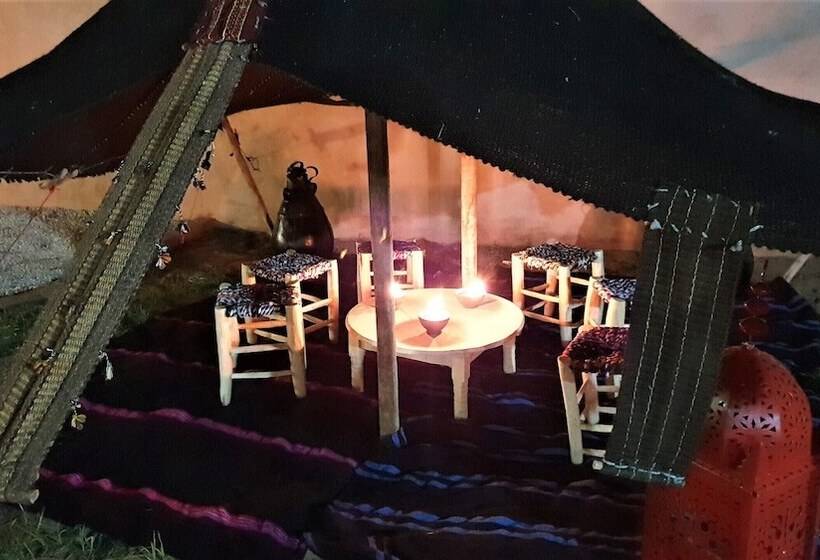 پانسیون Jenny Lynn