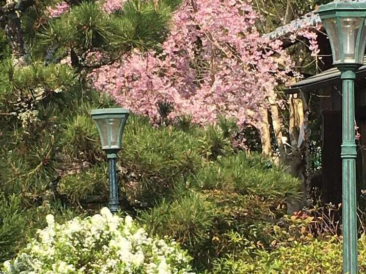 بنسيون Minsyuku Atsuan