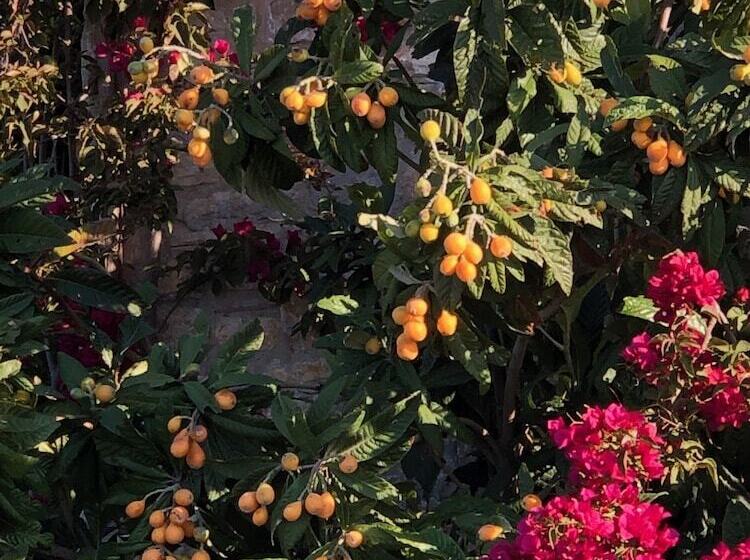 بنسيون Villa Mavie