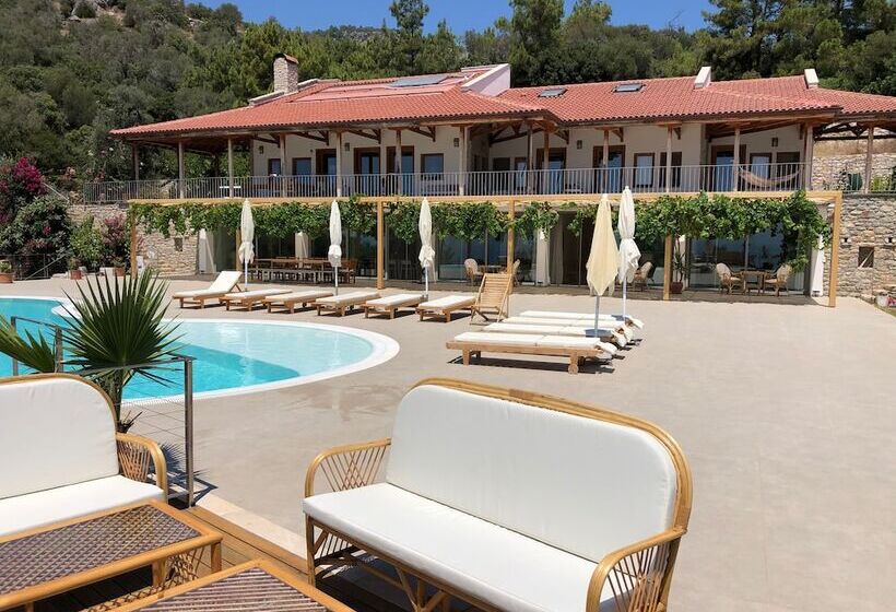 بنسيون Villa Mavie